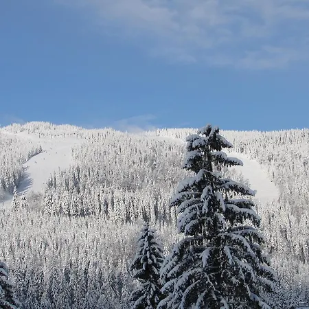Penzion Brnenka